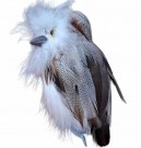 Dekorativ Ugle med fjær 12,5 cm. thumbnail